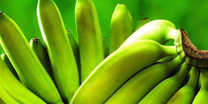 banany polza i vred kalorijnost i poleznye 2