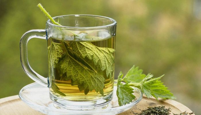 Bouillon d'ortie pour la rosacée