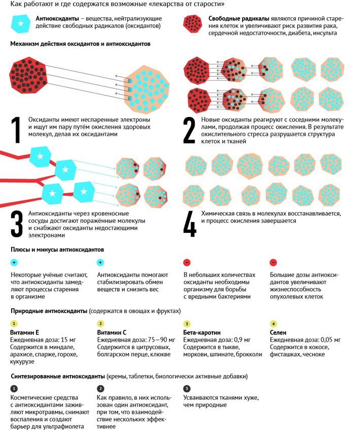 samye luchshie antioksidanty 1