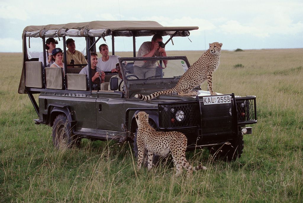 Călătorie în Kenya
